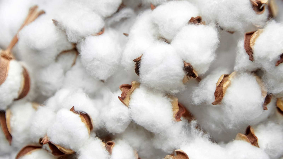 Why Natural Fibers Are Better for the Environment